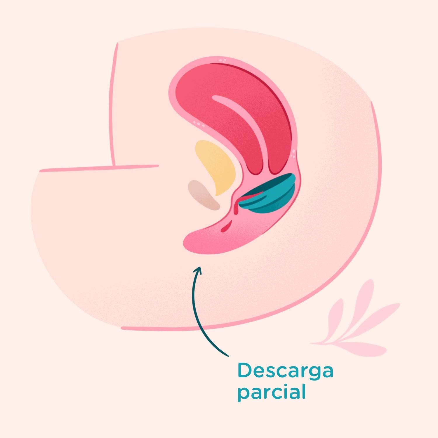 ¿El disco se vacía solo cuando hacemos pipí?