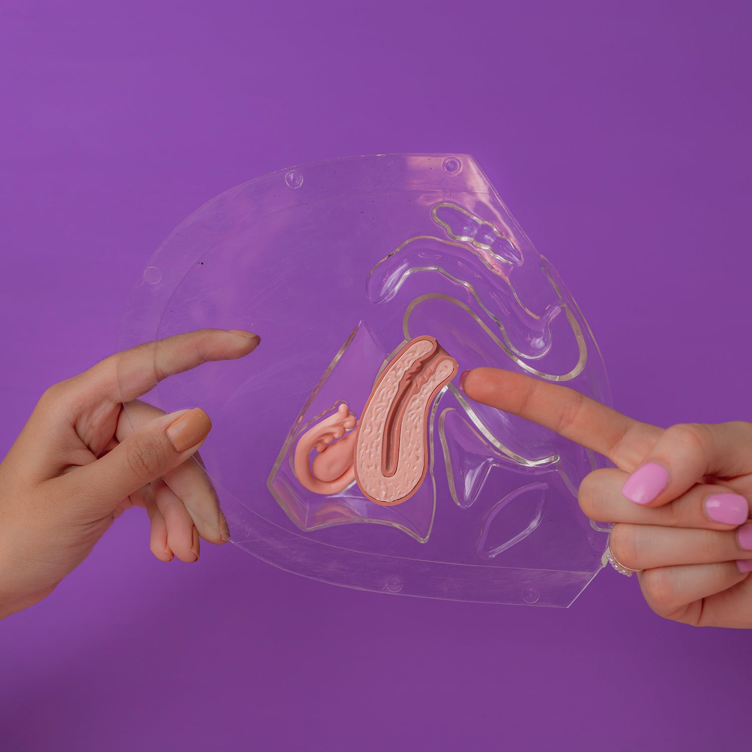 ¿Cómo medir la altura de mi cérvix y para que sirve medirlo?