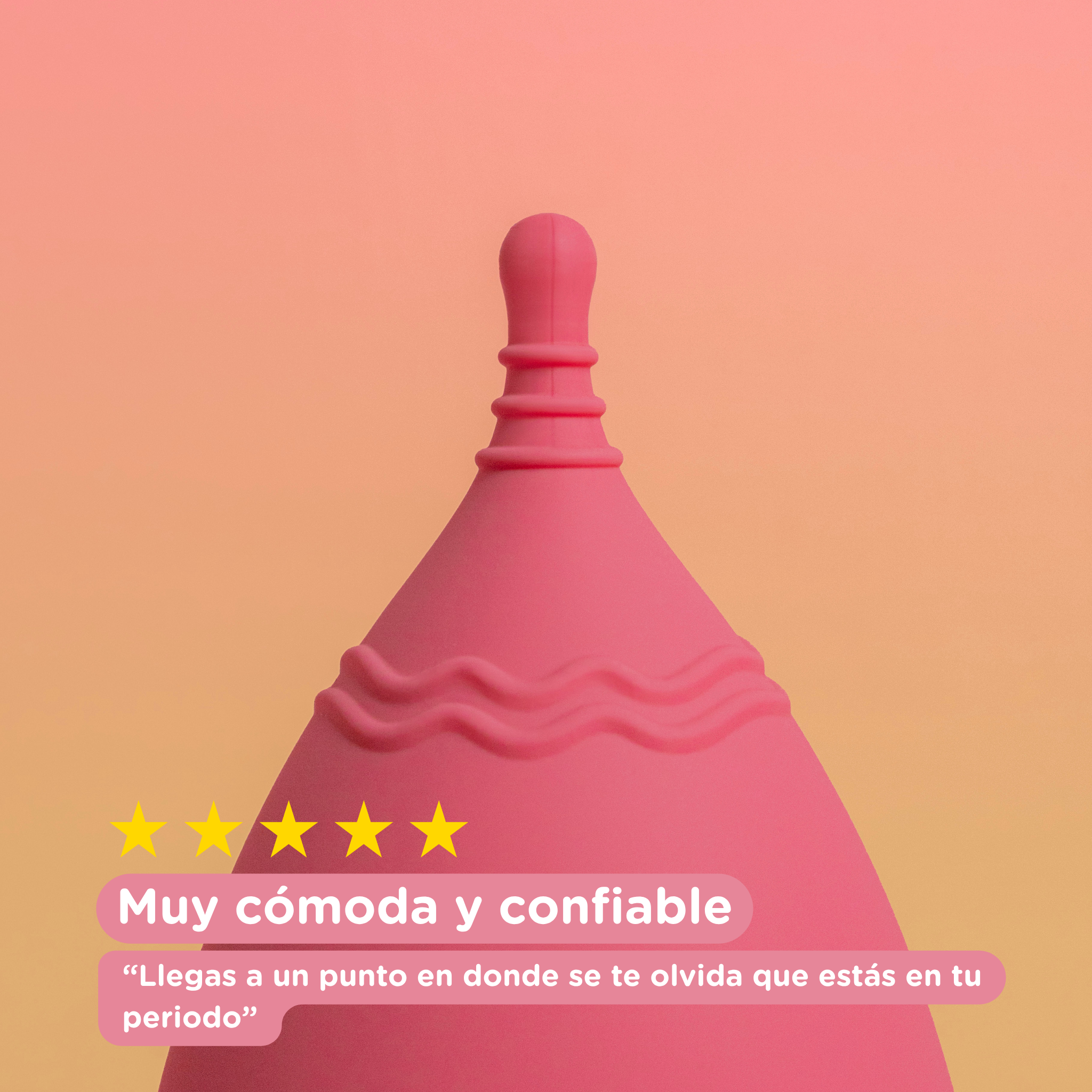 Copa Menstrual Lani - Plus